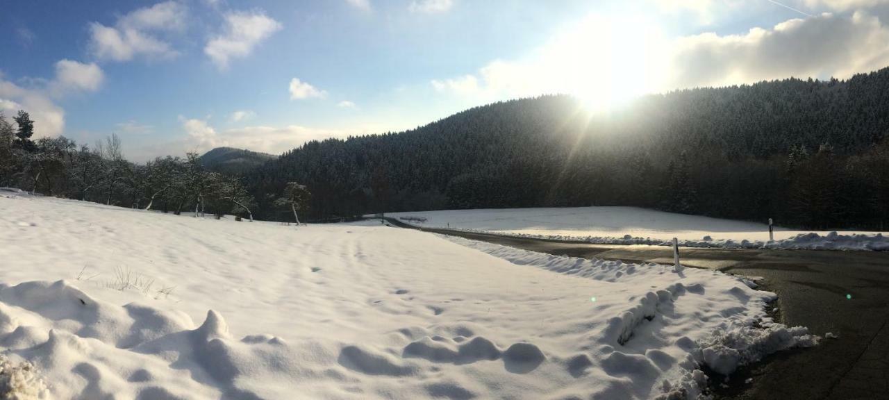 Ferienwohnung Wildenreuth Weidenberg Eksteriør bilde